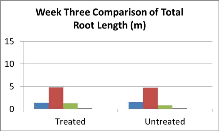 total root length animation, treated vs untreated